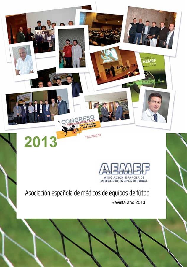 Revista AEMEF 2013